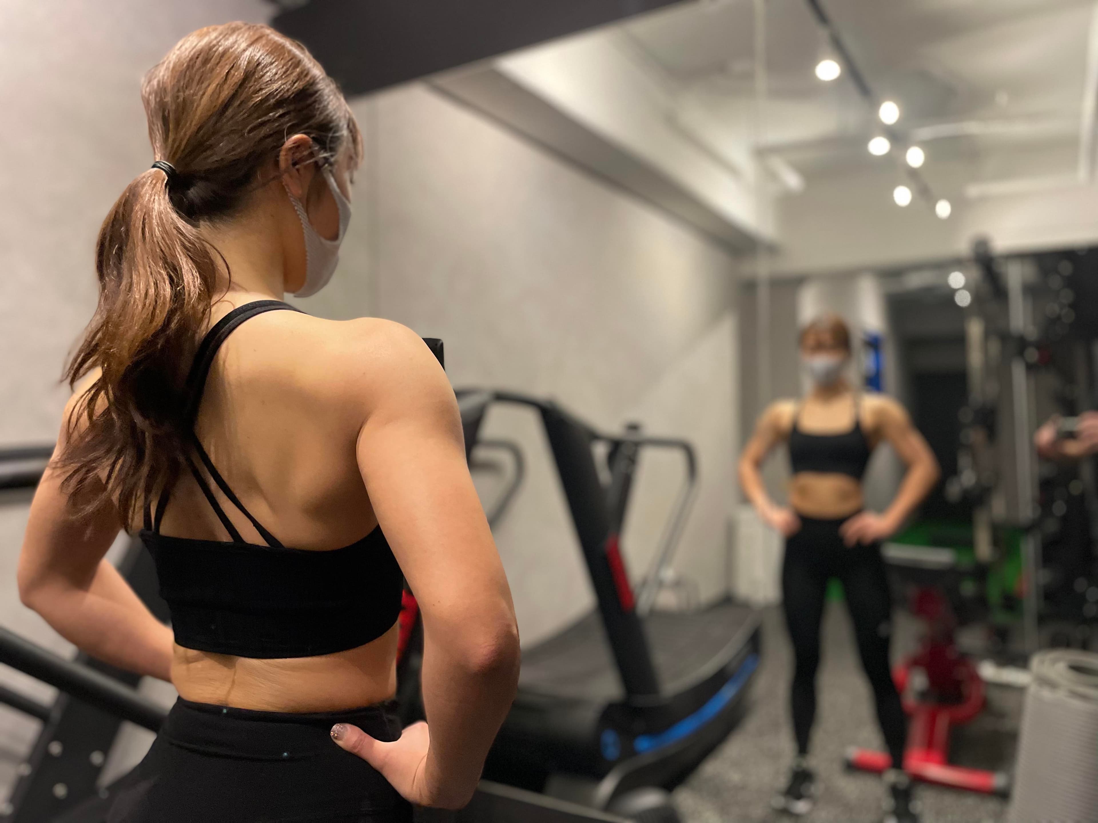 Hybrid Trainingの画像