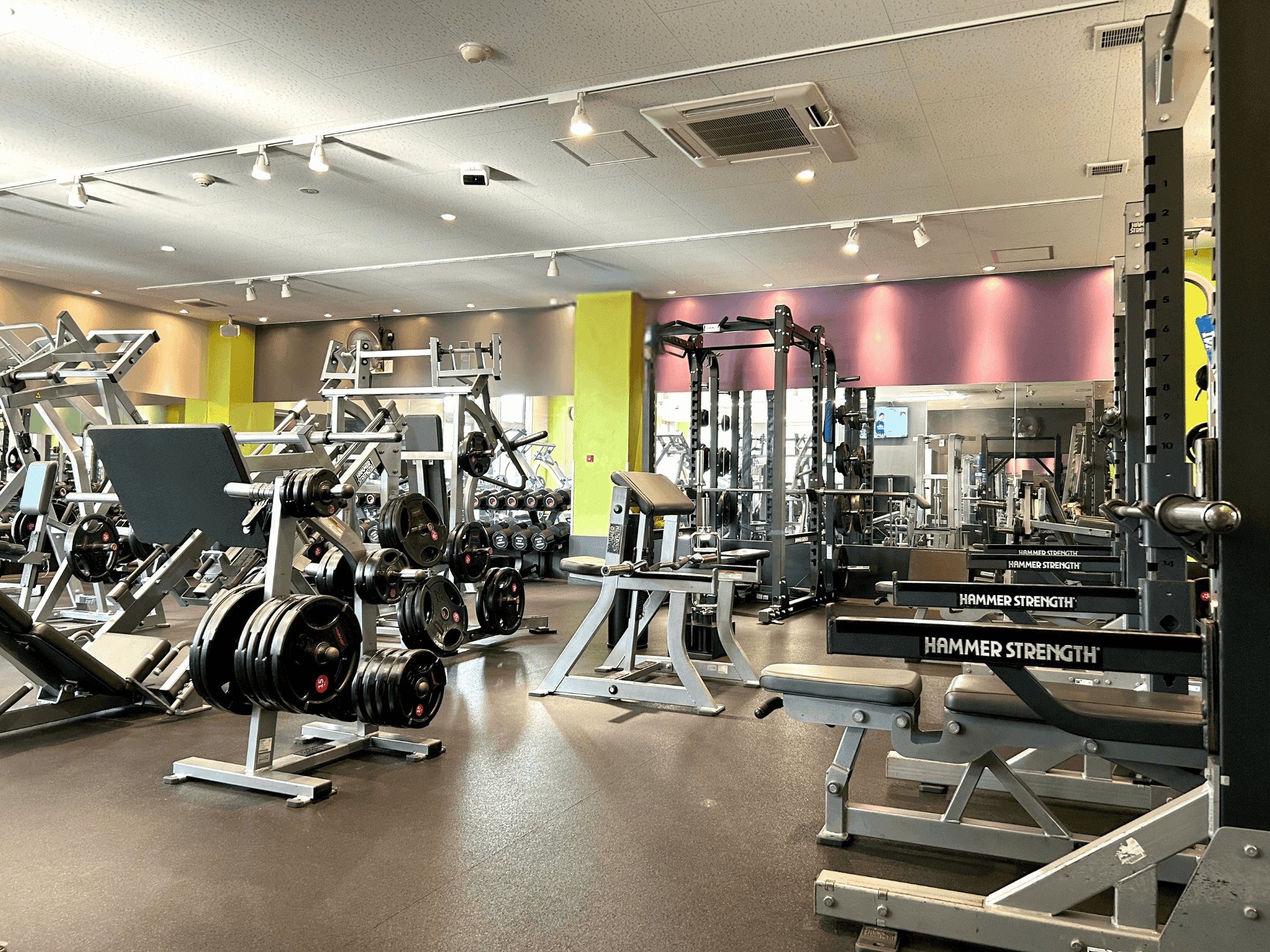 エニタイムフィットネス 新大江店の画像 4